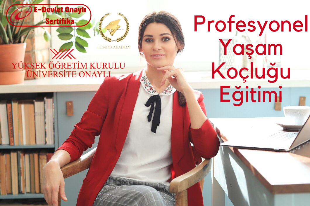 Profesyonel Yaşam Koçluğu Eğitimi