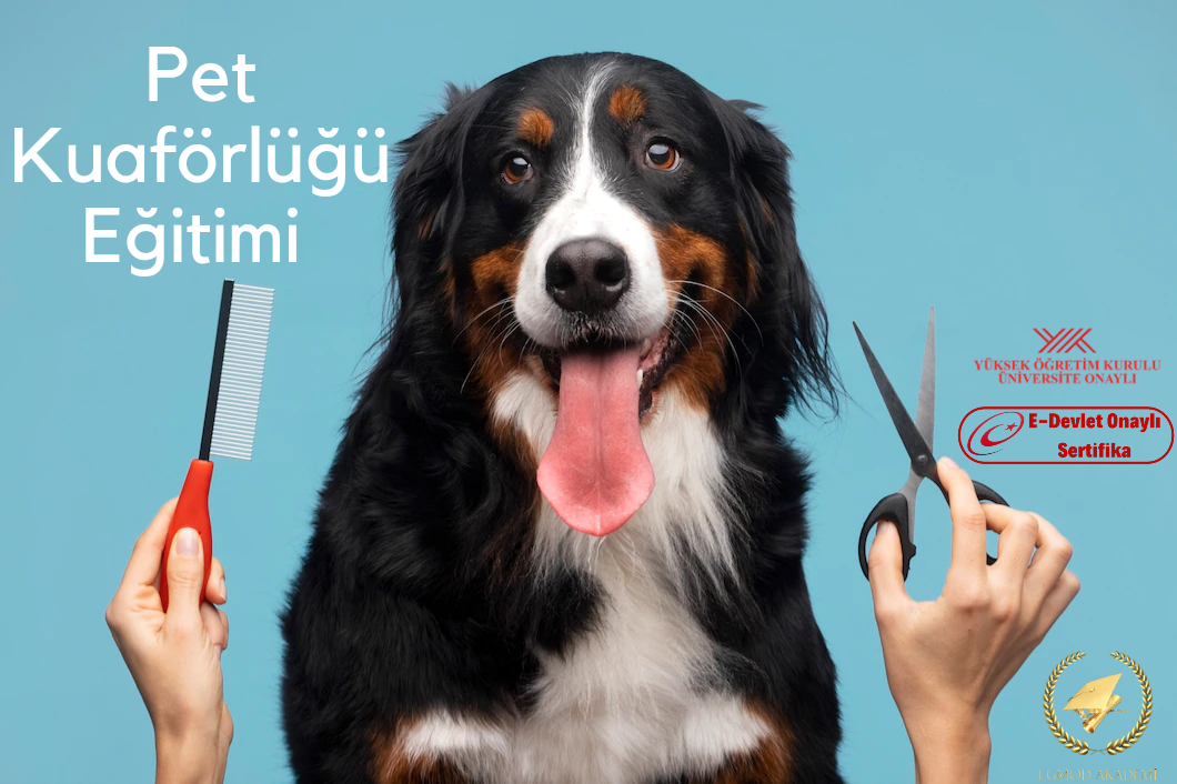 Pet Kuaförlüğü Eğitimi