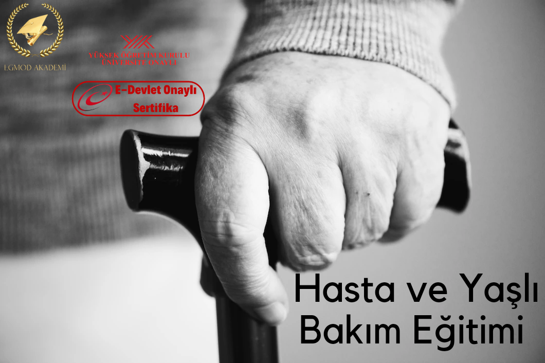 Hasta Ve Yaşlı Bakım Eğitimi