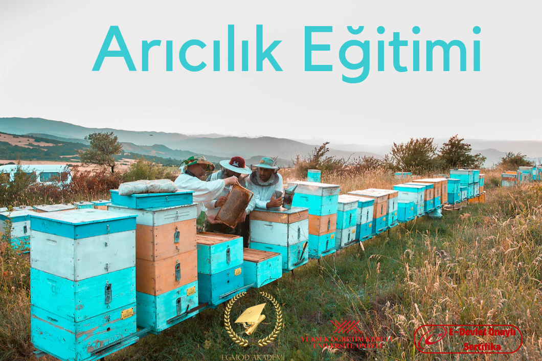 Arıcılık Eğitimi