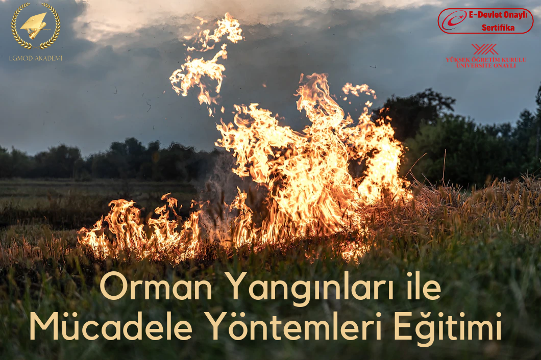 Orman Yangınları İle Mücadele Yöntemleri Eğitimi