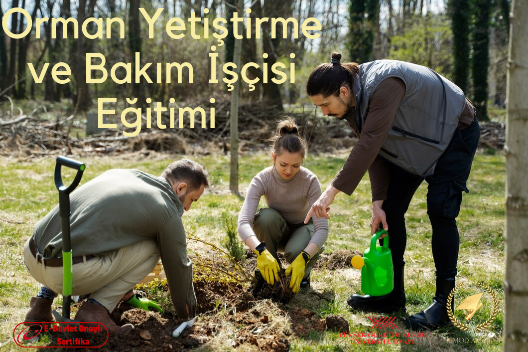 Orman Yetiştirme Ve Bakım İşçisi Eğitimi