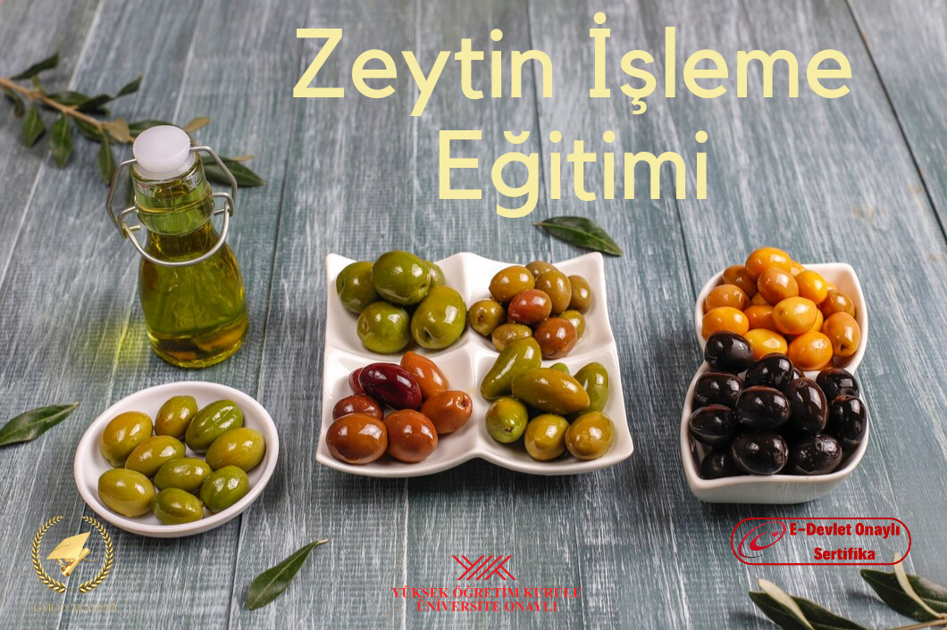 Zeytin İşleme Eğitimi