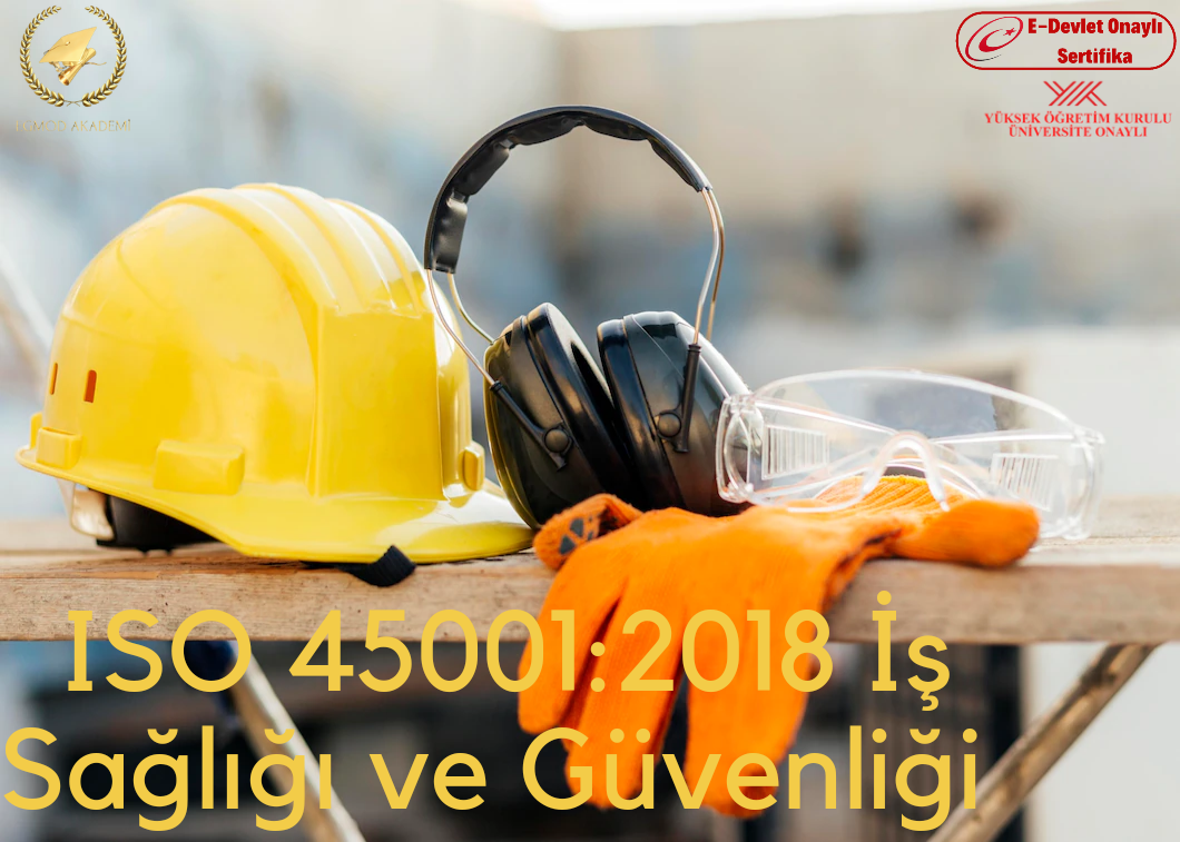 Iso45001:2018 İş Sağlığı Ve Güvenliği