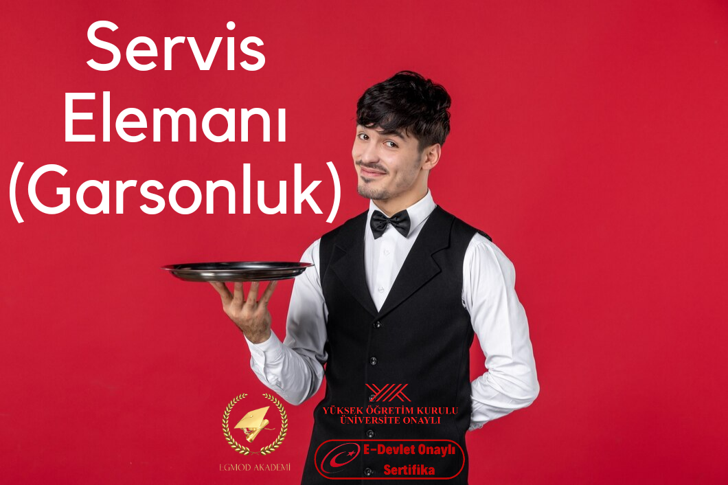 Servis Elemanı (garsonluk)