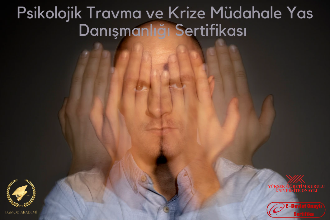 Psikolojik Travma Ve Krize Müdahale Yas Danışmanlığı Sertifikası