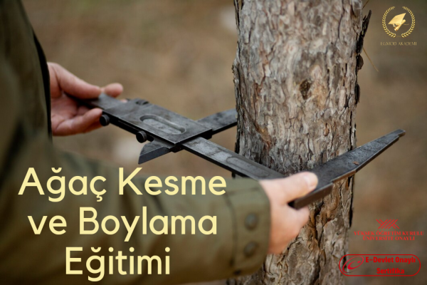 Ağaç Kesme Ve Boylama Eğitimi