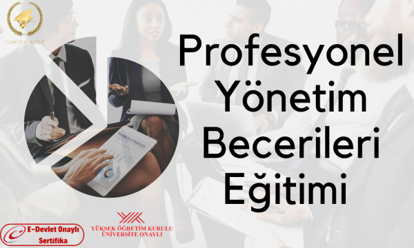 Profesyonel Yönetim Becerileri Eğitimi