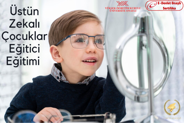 Üstün Zekalı Çocuklar Eğitici Eğitimi